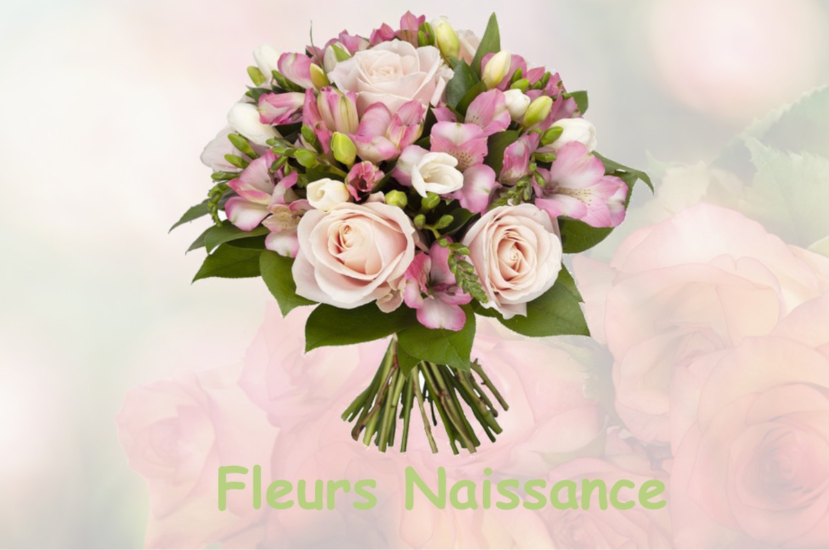 fleurs naissance MONTGISCARD