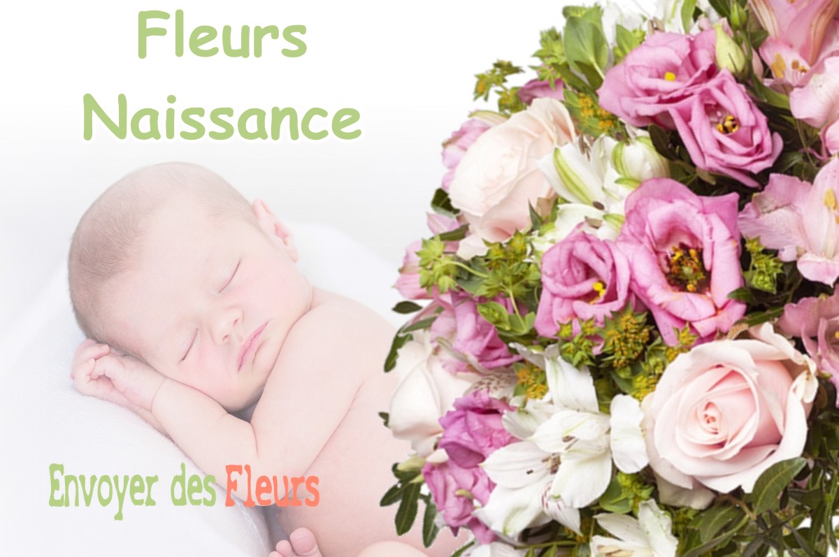 lIVRAISON FLEURS NAISSANCE à MONTGISCARD